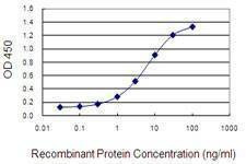 Anti-GRIP1 Antibody