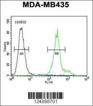 Anti-ANKFY1 (C-term) Antibody