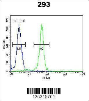 Anti-RRS1 (C-term) Antibody