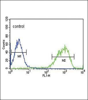 Anti-EREG (C-term) Antibody