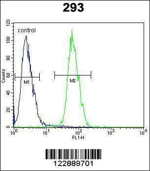 Anti-PLA2G1B (C-term) Antibody