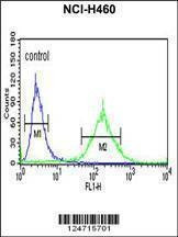 Anti-BBS10 (C-term) Antibody