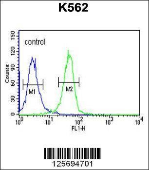 Anti-EFR3A (C-term) Antibody