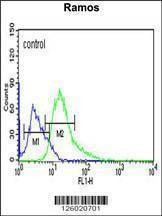 Anti-ARHGAP30 (C-term) Antibody