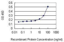 Anti-GZMA Antibody