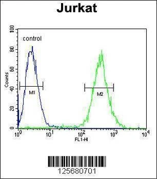 Anti-GLRX5 (C-term) Antibody