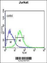 Anti-ADFP (Center) Antibody