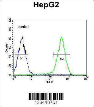 Anti-ATXN2L (C-term) Antibody