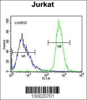 Anti-FFAR3 (C-term) Antibody