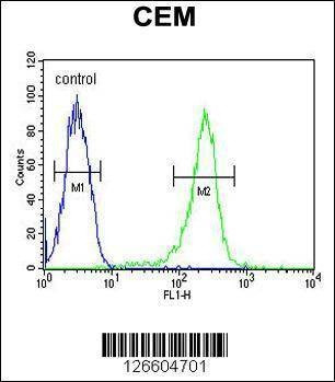 Anti-HAUS5 (N-term) Antibody