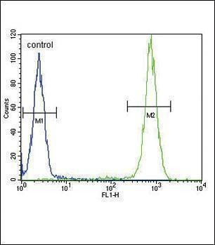 Anti-IL4 (C-term) Antibody