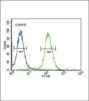 Anti-NPFF (C-term) Antibody