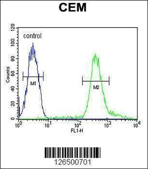 Anti-TSH2 (N-term) Antibody