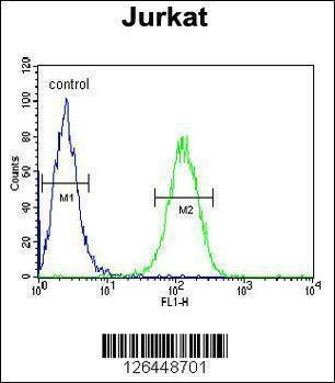 Anti-UTP6 (N-term) Antibody