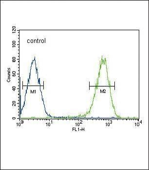 Anti-DLAT (C-term) Antibody