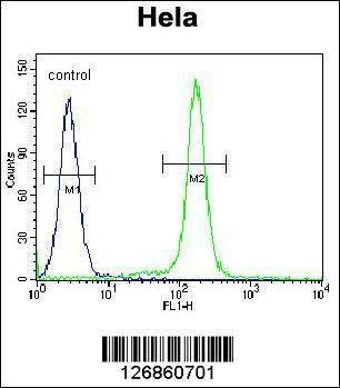 Anti-IDUA (Center) Antibody