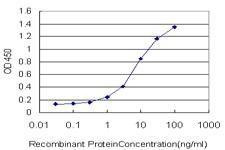 Anti-HDAC1 Antibody
