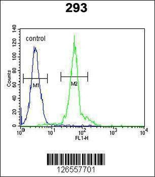 Anti-IFT172 (N-term) Antibody