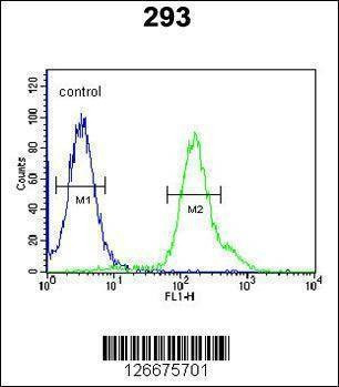 Anti-ARMC5 (C-term) Antibody