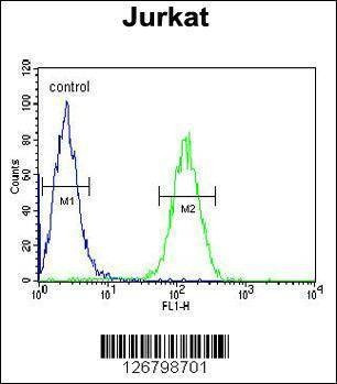 Anti-AXIN2 (C-term) Antibody
