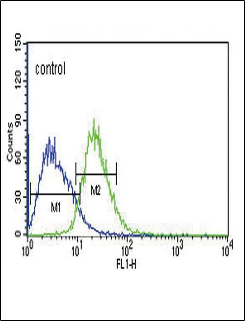Anti-TXTP (Center) Antibody