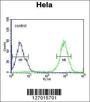 Anti-SPT13 (Center) Antibody