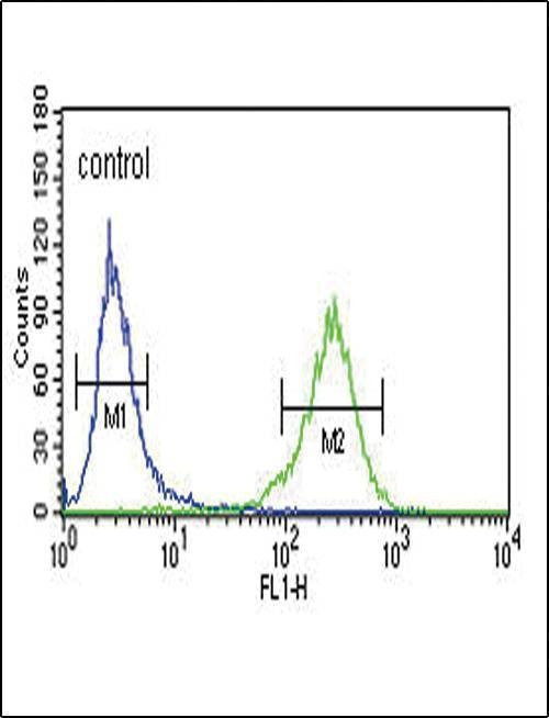 Anti-AHR (Center) Antibody