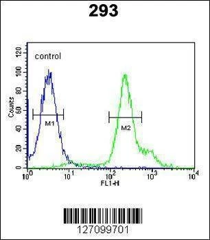 Anti-RBM24 (N-term) Antibody