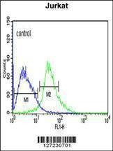 Anti-TRIM50 (C-term) Antibody