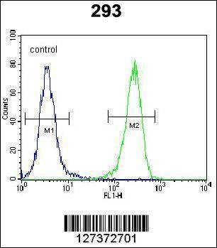 Anti-Mouse AQP11 (C-term) Antibody