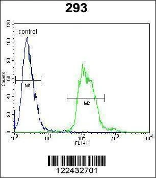 Anti-TAC1 (C-term) Antibody