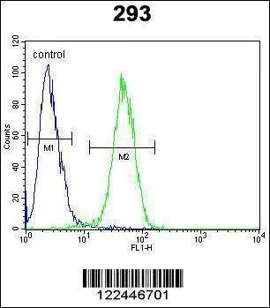 Anti-CLDN12 (N-term) Antibody