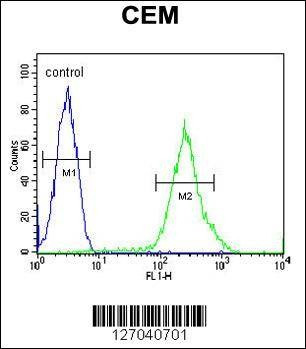 Anti-RCL (N-term) Antibody
