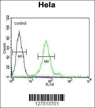 Anti-DDX47 (C-term) Antibody