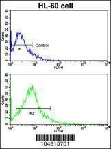 Anti-ACE2 (SARS Receptor) (Center) Antibody