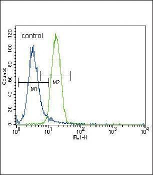 Anti-Parkin (C-term) Antibody