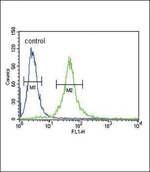 Anti-IL1RN (Center) Antibody