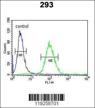 Anti-DPP8 (C-term) Antibody