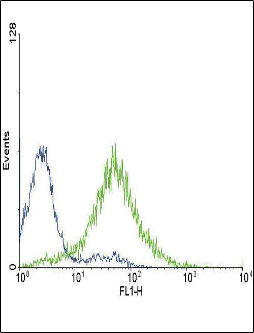 Anti-EDNRA (Center) Antibody