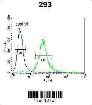 Anti-CEA (Center) Antibody