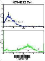 Anti-SPP1 (C-term) Antibody