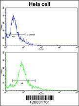 Anti-PID/MTA2 (C-term) Antibody