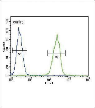 Anti-SERPINA7 (C-term) Antibody
