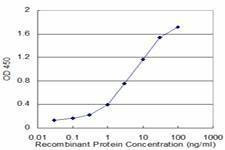 Anti-HPD Antibody