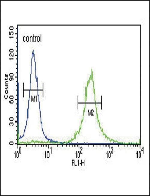 Anti-INHA (N-term) Antibody
