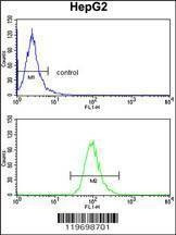 Anti-ADH1B (Center) Antibody