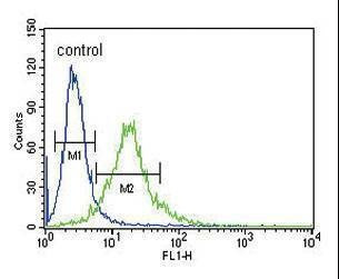 Anti-Ku70 (Center) Antibody