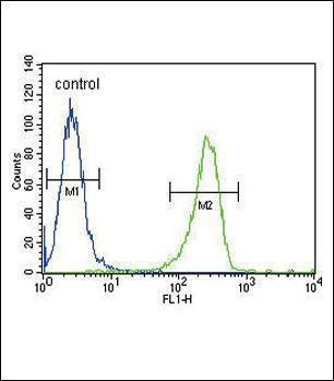 Anti-TPA (Center) Antibody