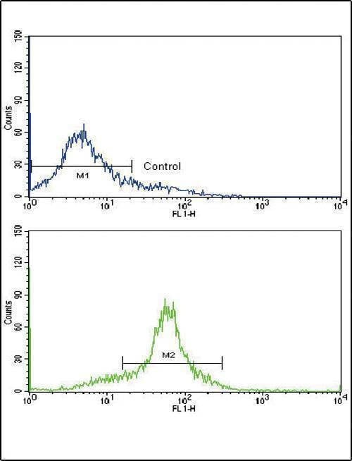 Anti-Glucagon (C-term) Antibody