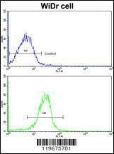 Anti-AADAC (C-term) Antibody